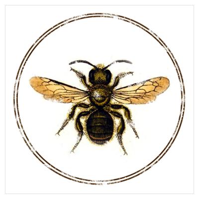 400x400 vintage honey bee illustration - Vintage Honey Bee Drawing