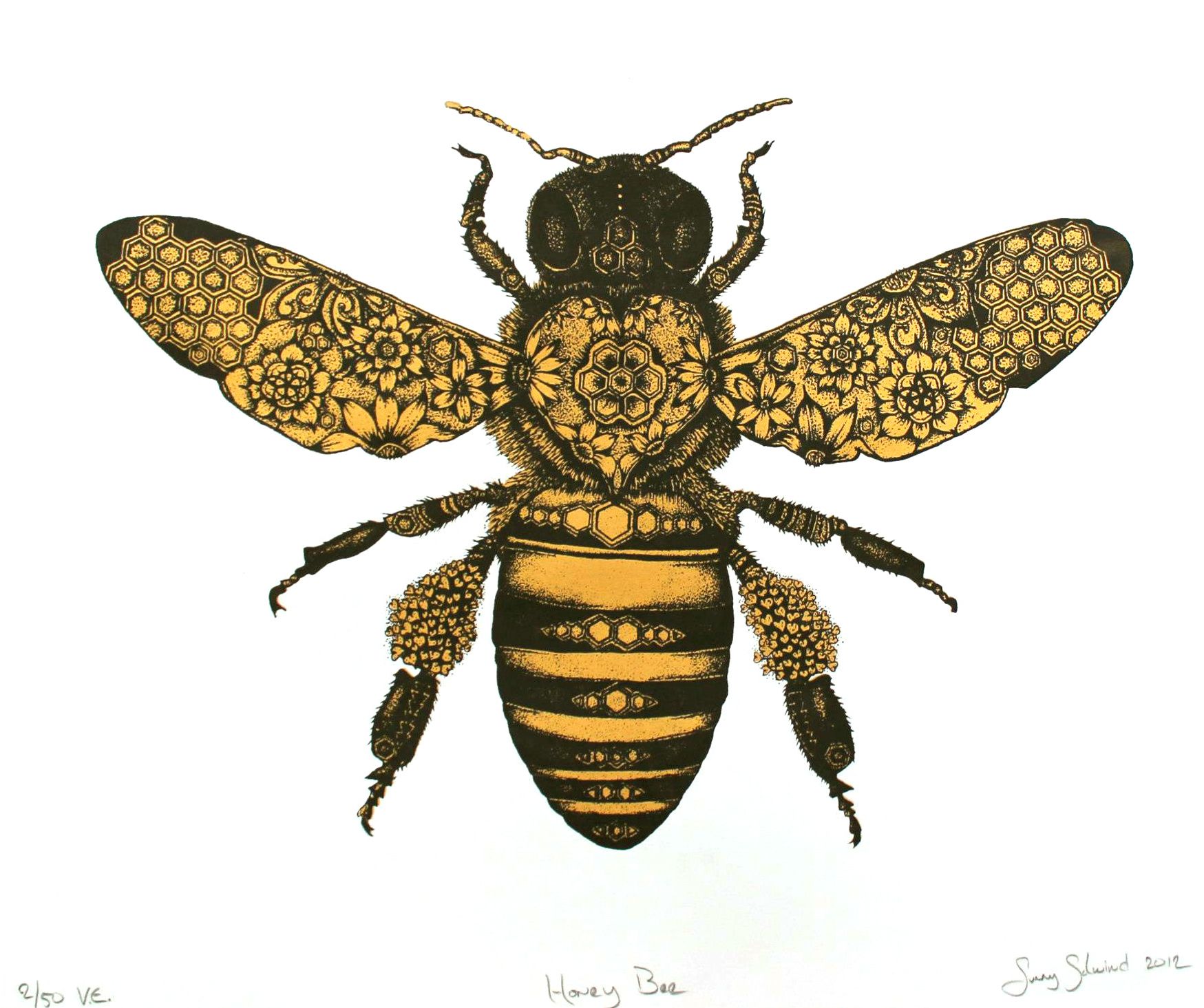 1749x1465 honey bee drawing - Vintage Honey Bee Drawing