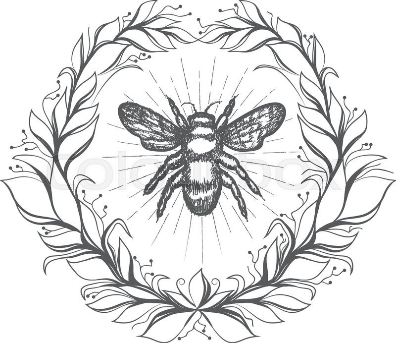 800x692 Bee Vintage Emblem In Floral Wreath Stock Vector Colourbox - Vintage Honey Bee Drawing