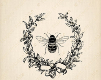 340x270 Bee Vintage Transparent Png Clipart Free Download - Vintage Honey Bee Drawing