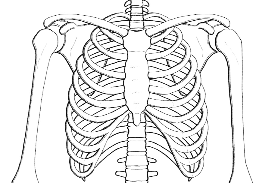 850x610 How To Shade In A Vintage Style - Vintage Line Drawings