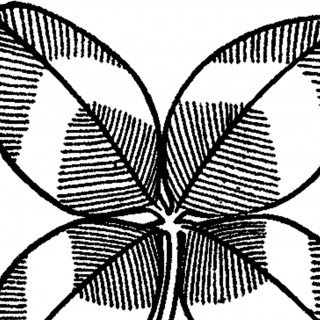 320x320 Line Drawings Archives - Vintage Line Drawings