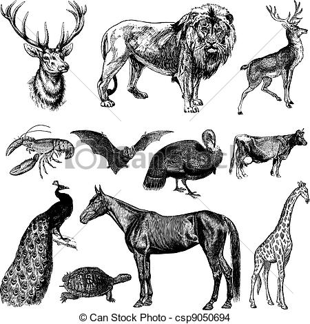 450x470 vector vintage animal set perfect for vintage or classic designs - Vintage Line Drawings