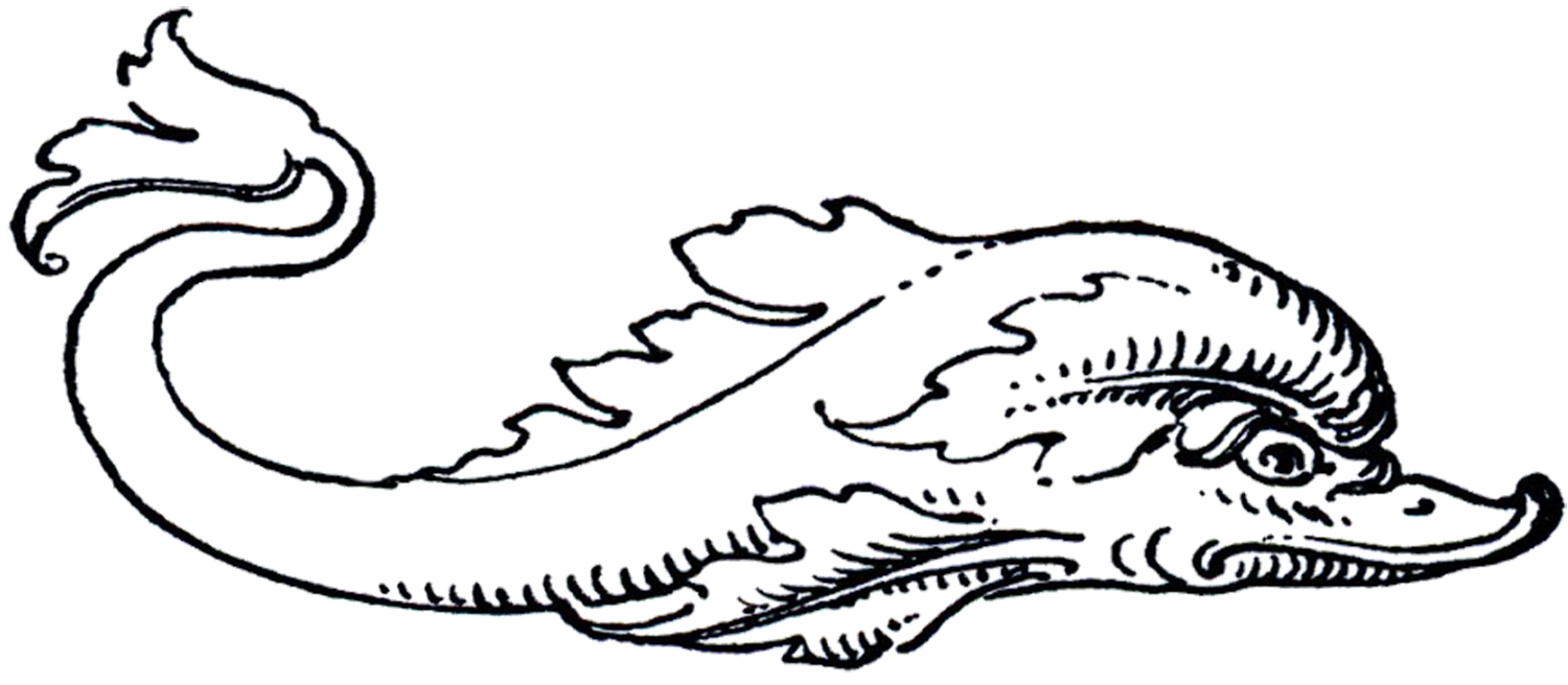 1500x656 Vintage Dolphin Images - Vintage Line Drawings