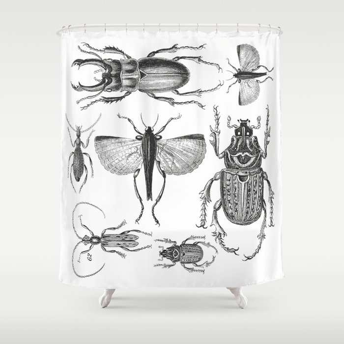 700x700 Vintage Beetle Black And White Drawing Shower Curtain - Vintage Moth Drawing
