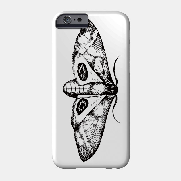 630x630 vintage moth illustration - Vintage Moth Drawing