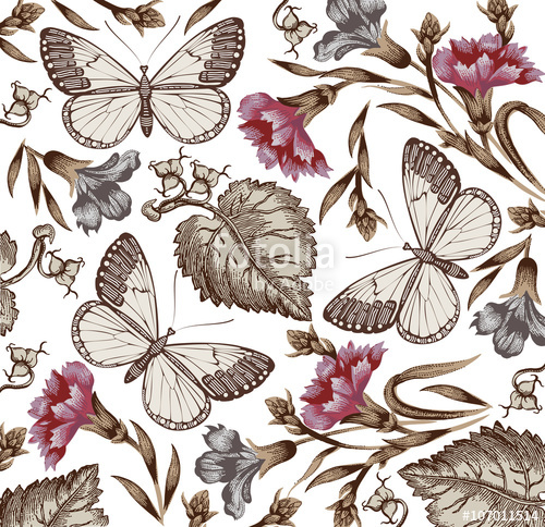 500x484 butterflies, moths, insect vintage beautiful background - Vintage Moth Drawing