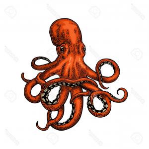300x300 creative drawing vintage color style vector octopus with ethnic - Vintage Octopus Drawing
