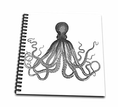 500x455 galleon - Vintage Octopus Drawing