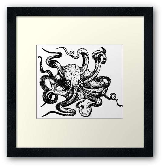 539x550 gorgeous bw vintage octopus drawing framed prints - Vintage Octopus Drawing