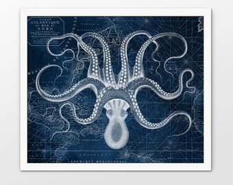 340x270 Octopus Drawings Etsy - Vintage Octopus Drawing