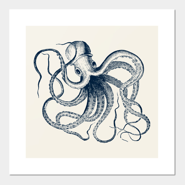 630x630 Vintage Octopus - Vintage Octopus Drawing