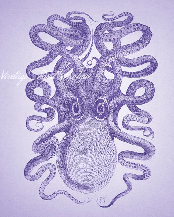 570x713 Vintage Octopus Illustration Reproduction Print Home Decor Etsy - Vintage Octopus Drawing