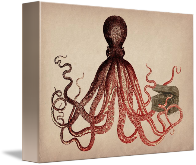 650x547 vintage octopus on parchment - Vintage Octopus Drawing