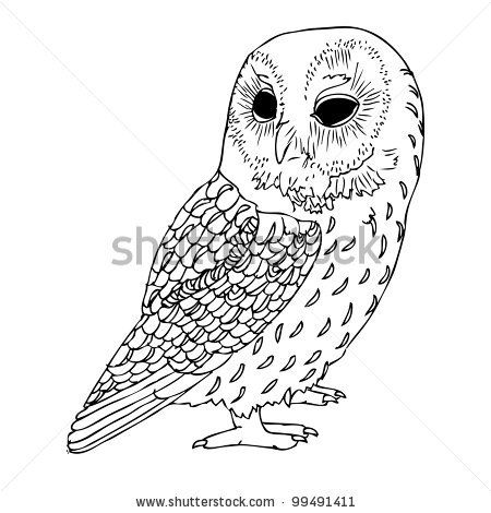 450x470 owl drawings vintage vintage owl drawings owls - Vintage Owl Drawing