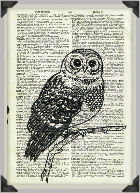 570x786 owl drawing on vintage dictionary paper - Vintage Owl Drawing