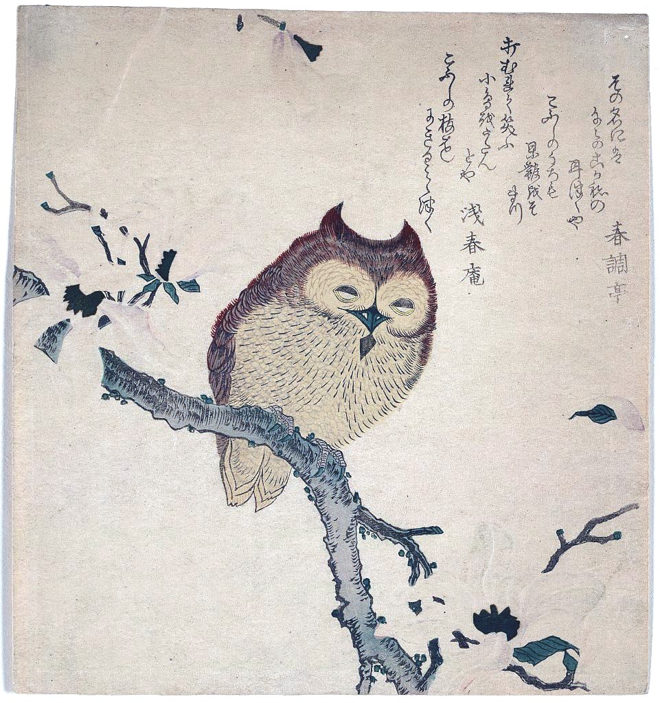 Vintage Owl Drawing at PaintingValley.com | Explore collection of ...