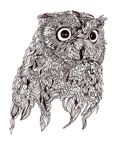 425x499 Vintage Owl Drawing - Vintage Owl Drawing