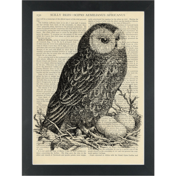 570x570 botanical drawing,vintage owl, black ink vintage drawing - Vintage Owl Drawing