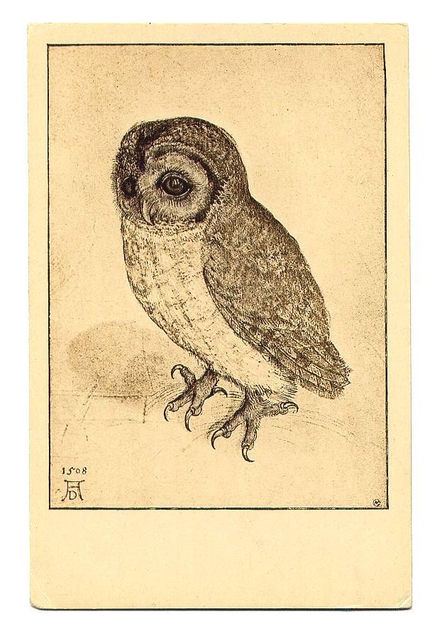 630x896 Vintage Owl Drawing, Amazing A Pencil And Paper - Vintage Owl Drawing