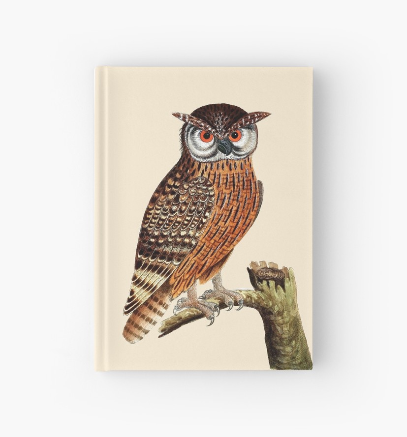 827x889 vintage owl drawing hardcover journals - Vintage Owl Drawing