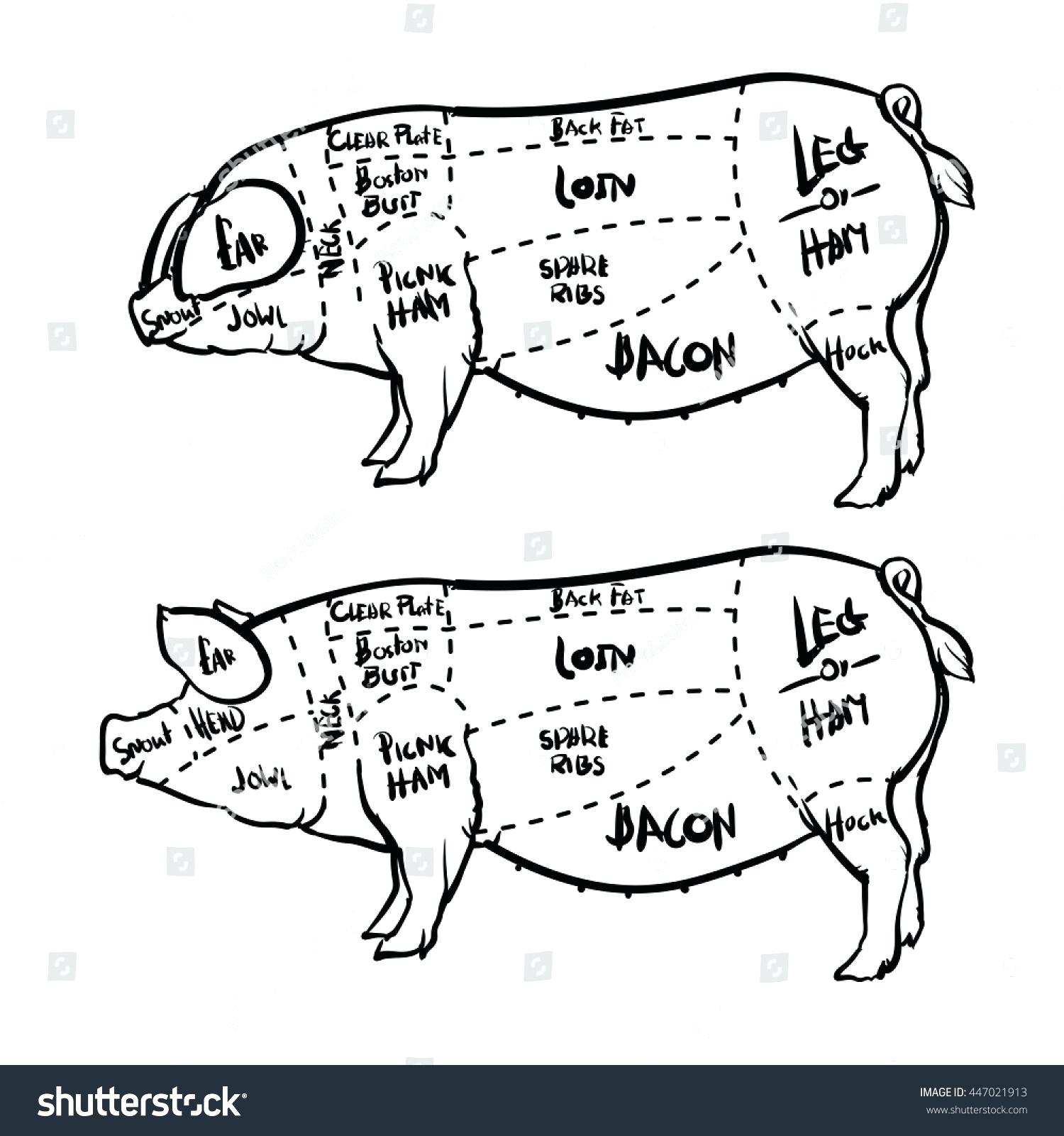 1500x1600 Drawn Pig Vintage - Vintage Pig Drawing