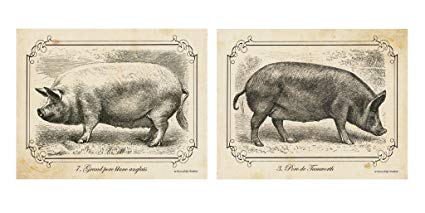 425x213 Wallsthatspeak Black And White Pig Drawings - Vintage Pig Drawing
