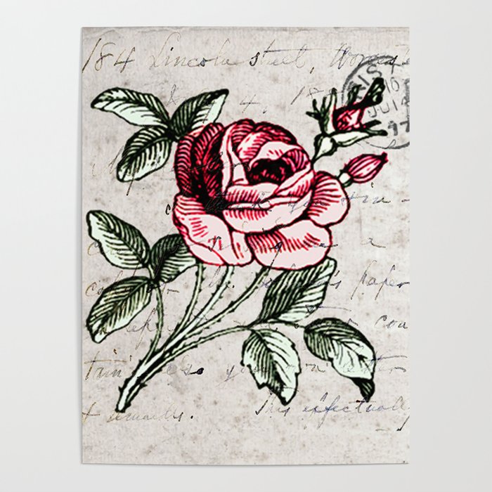 700x700 shabby chic vintage rose and calligraphy poster - Vintage Rose Drawing