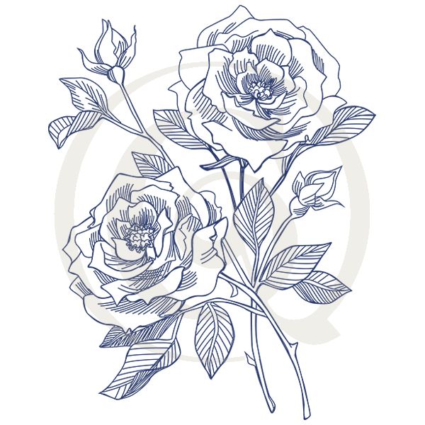 600x600 vintage rose svgdxf roses drawing craft genesis - Vintage Rose Drawing