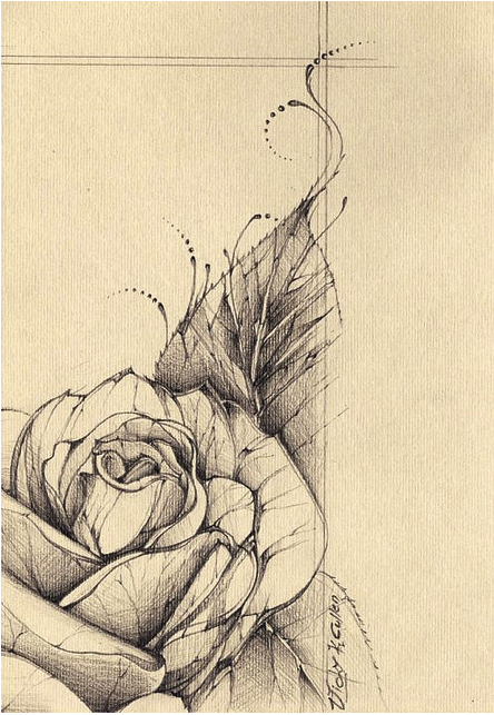 444x643 vintage rose tattoo desing body art ink art, vintage rose - Vintage Rose Drawing