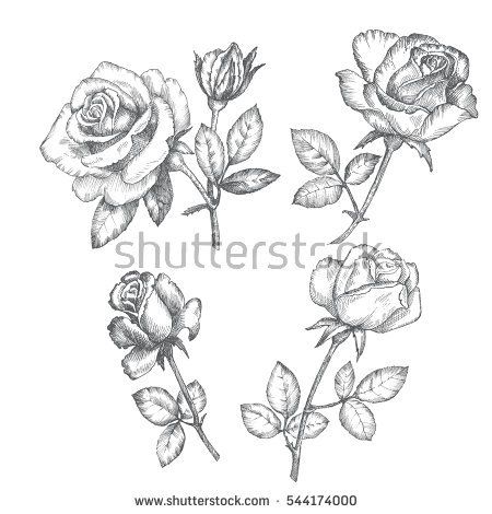 450x470 Vintage Roses Black And White Graphics Realistic Rose Tattoo - Vintage Rose Drawing