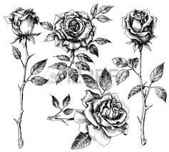 237x213 Vintage Rose Tattoo Black And White - Vintage Rose Drawing
