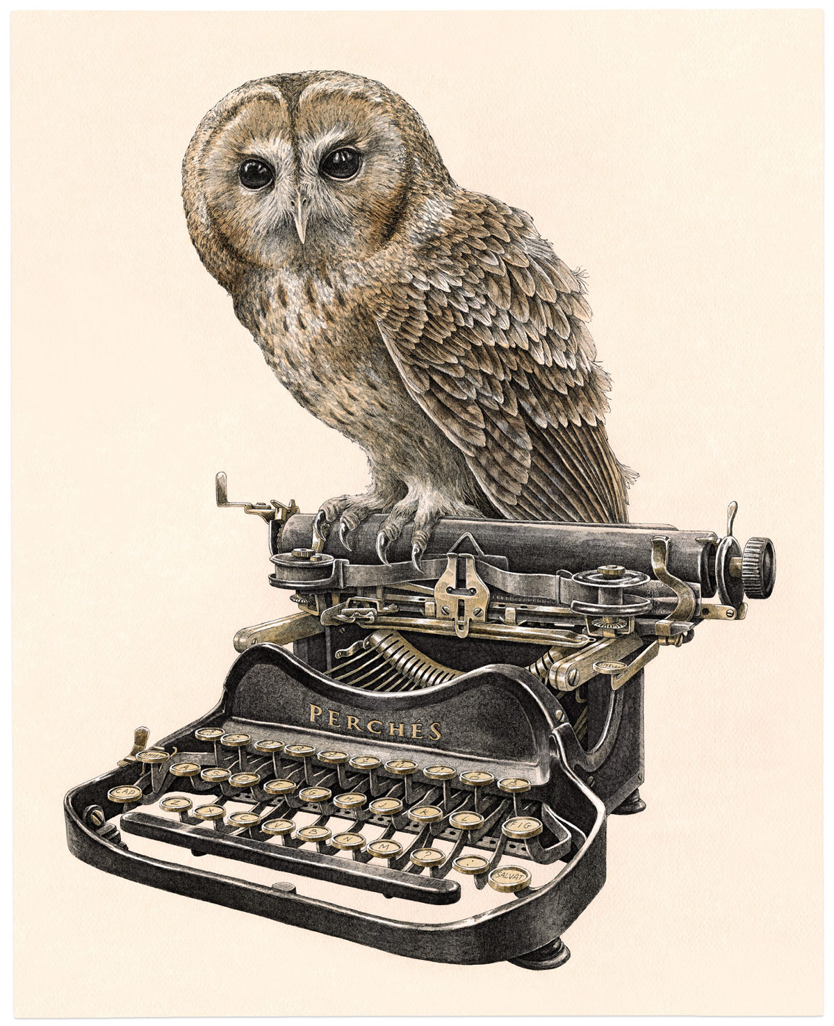 1200x1476 Birds Sit Delicately On Vintage Sewing Machines And Typewriters - Vintage Sewing Machine Drawings