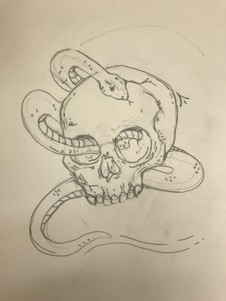 768x1024 How To Make A Vintage Skull Illustration In Adobe Illustrator - Vintage Skull Drawing