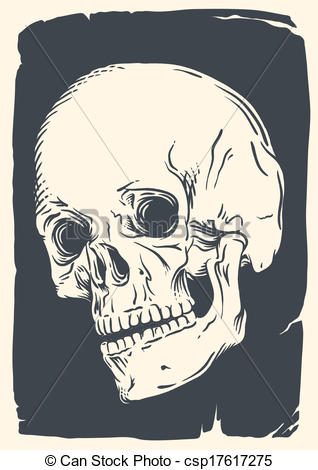318x470 isolated vintage skull illustration isolated skull illustration - Vintage Skull Drawing