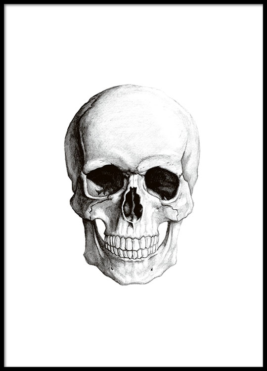 540x750 Print Of A Skull Cranium, Poster Online - Vintage Skull Drawing