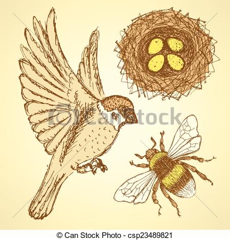 450x470 Sketch Set With Sparrow, Bee And Nest In Vintage Style, Vector - Vintage Sparrow Drawing