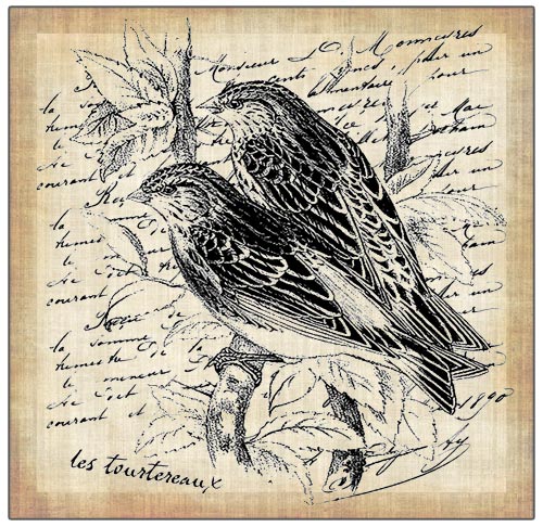 500x486 Vintage Birds Stamp - Vintage Sparrow Drawing