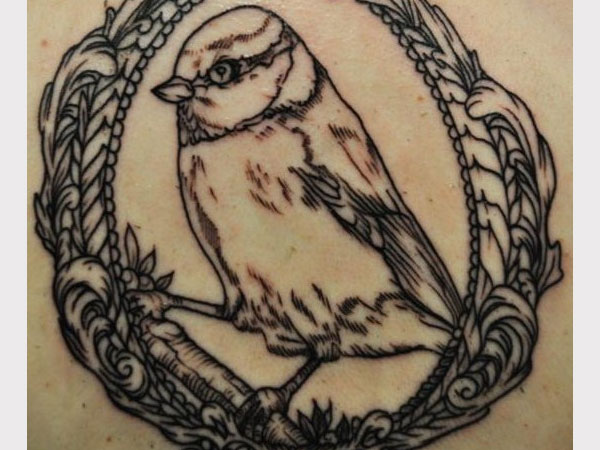 600x450 Impressive Sparrow Tattoos - Vintage Sparrow Drawing
