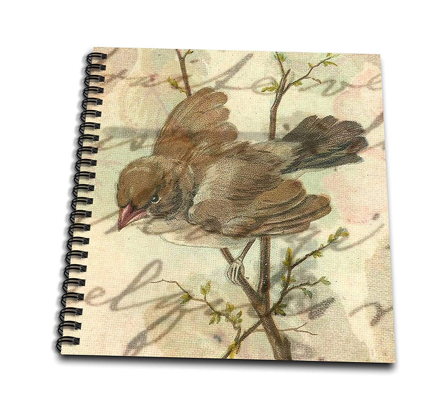 1500x1363 cassie peters digital art - Vintage Sparrow Drawing