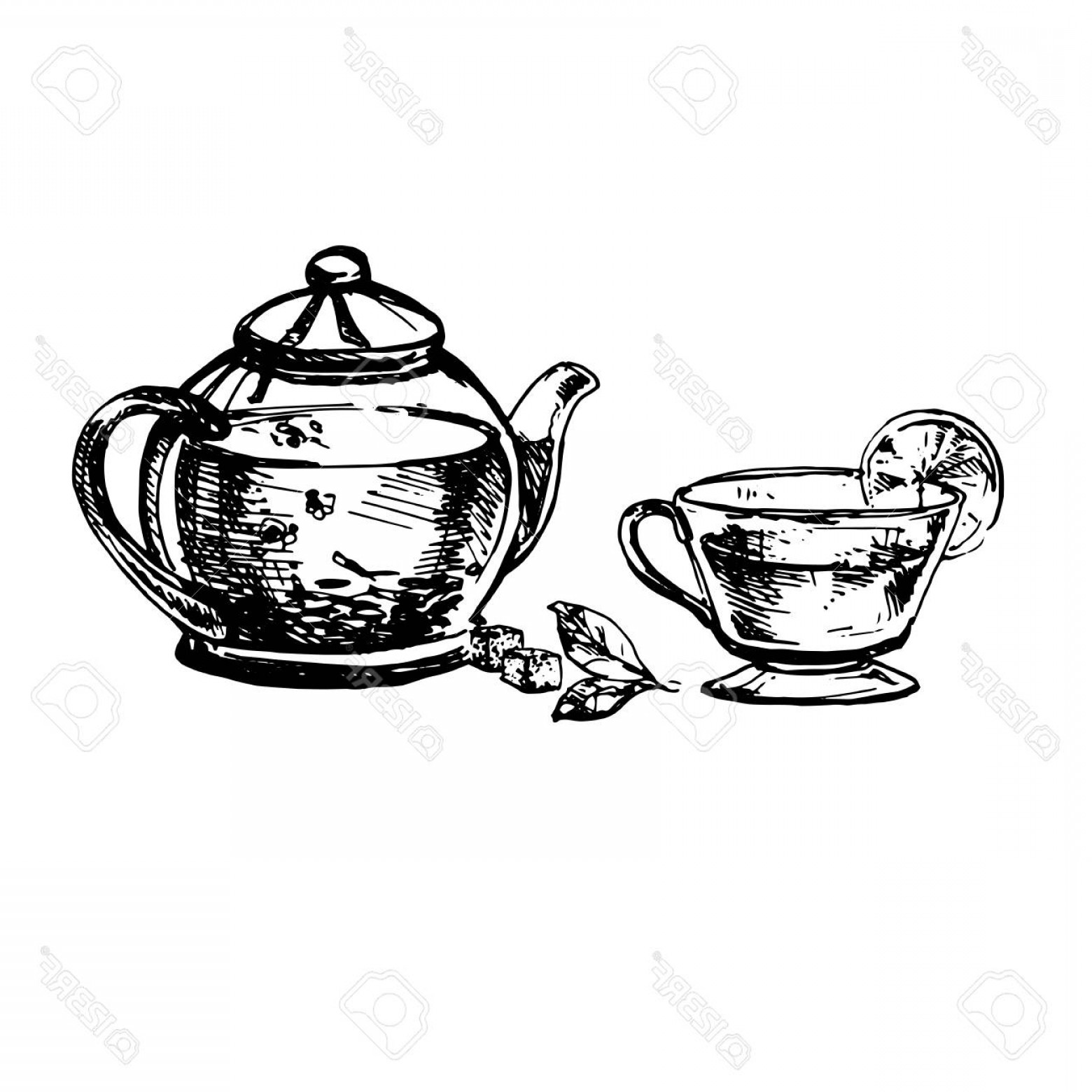 1560x1560 Photostock Vector Hand Drawn Sketch Of Teacup And Teapot Vintage - Vintage Tea Cup Drawing