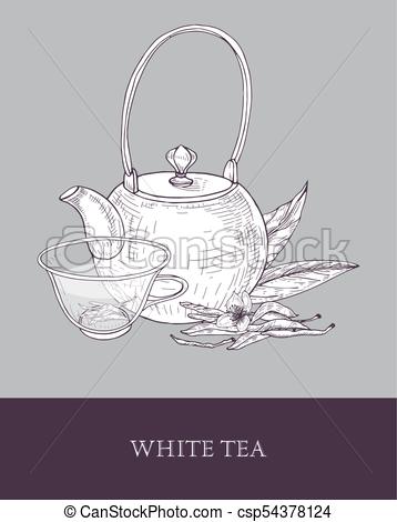 358x470 detailed monochrome drawing of teapot, transparent glass cup - Vintage Teapot Drawing