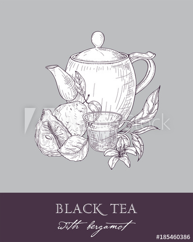 398x500 monochrome drawing of teapot, cup, tea leaves, flowers and fresh - Vintage Teapot Drawing