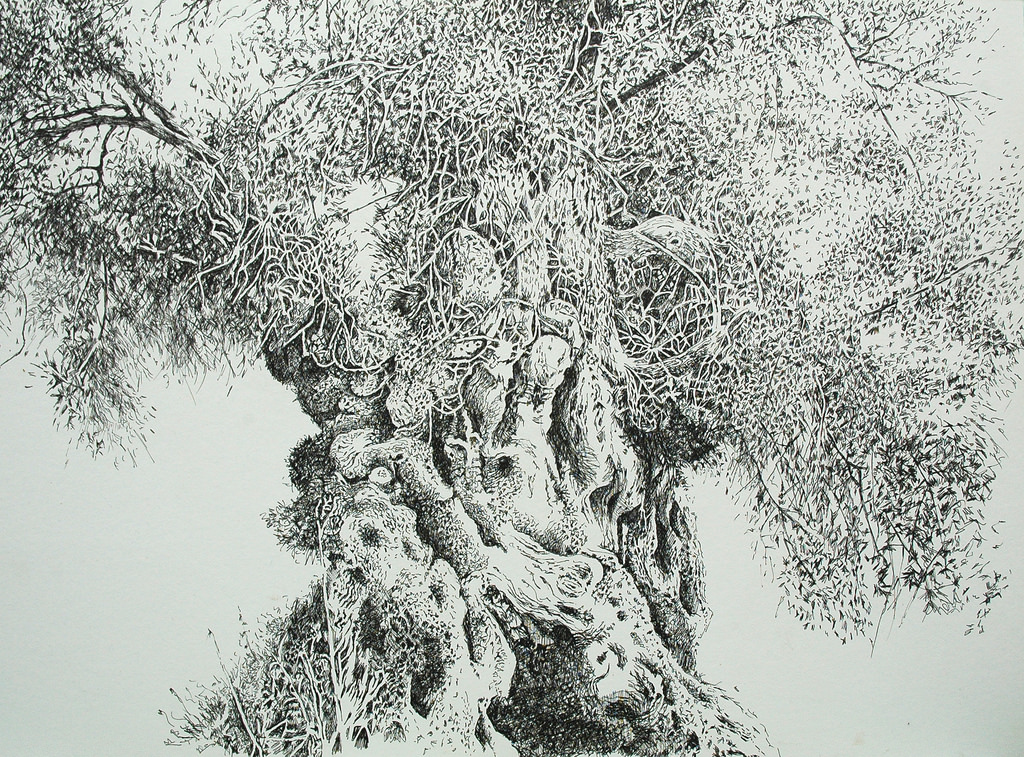Vintage Tree Drawing