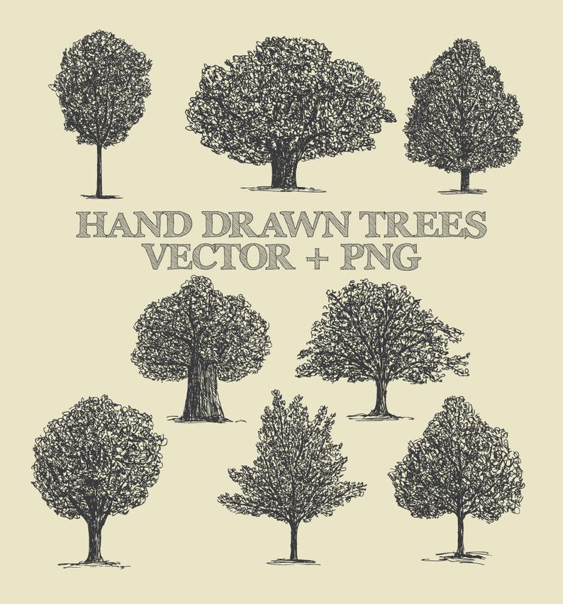 794x852 Tree Clipart Vector Pack Vintage Hand Drawn Tree Drawing Etsy - Vintage Tree Drawing