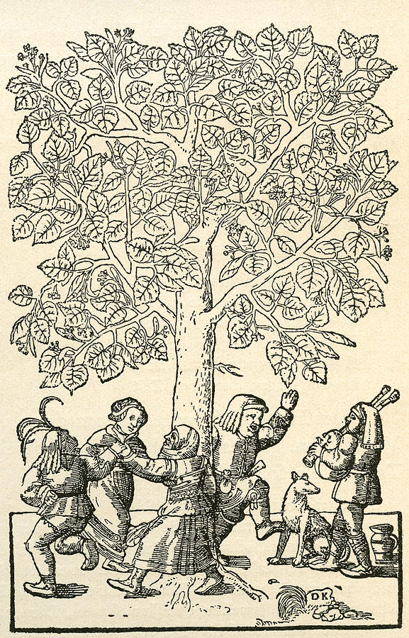 577x900 Under The Village Linden Tree Drawing - Vintage Tree Drawing