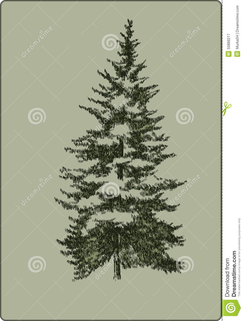 990x1300 Vintage Christmas Tree, Hand Drawing Vector Illustration - Vintage Tree Drawing
