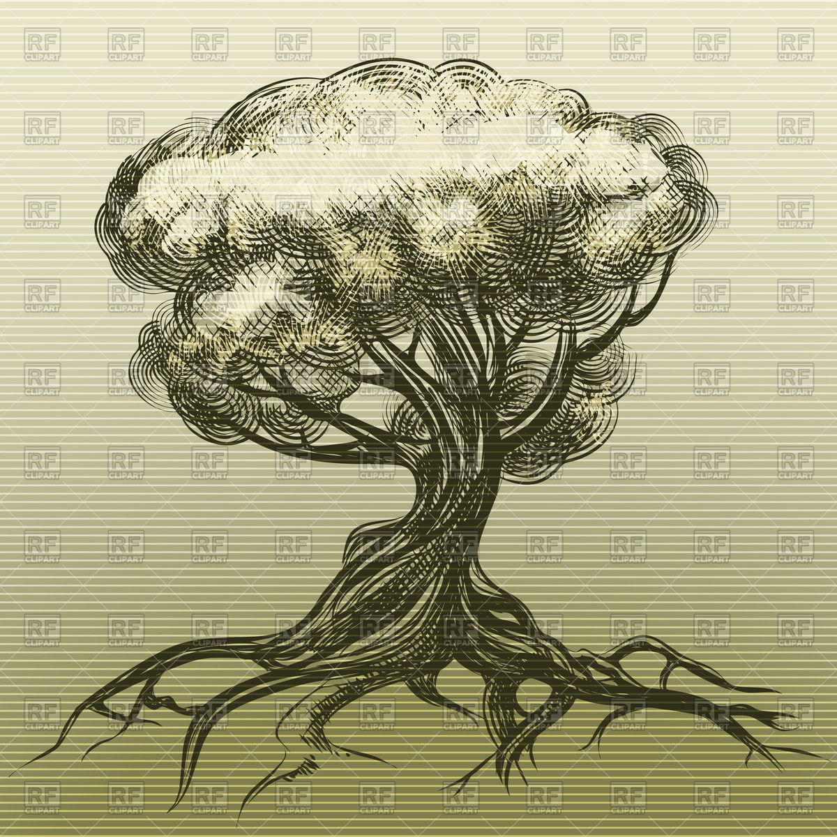 1200x1200 deciduous tree with branchy roots in engraving style - Vintage Tree Drawing