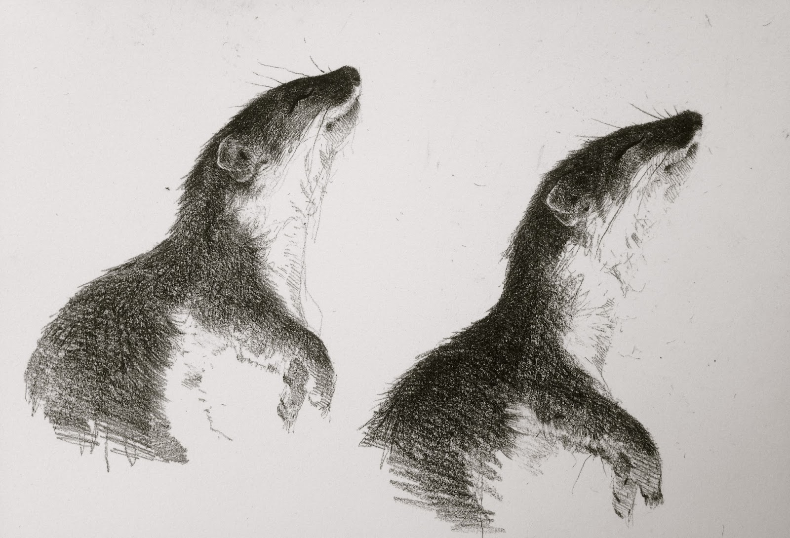 1600x1090 on drawing and non violence - Violence Drawing