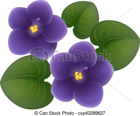450x373 violet flower drawing - Violet Drawing